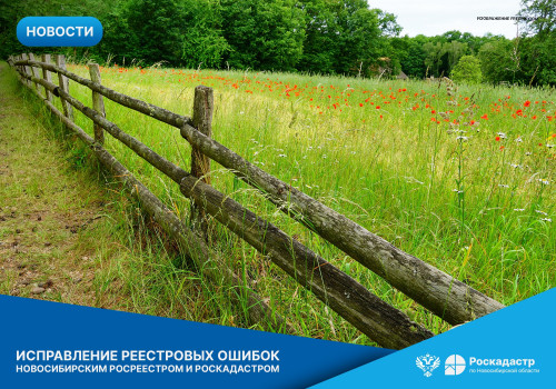 novosibirskiy_rosreestr_i_regionalnyy_roskadastr_soobshchili_o_rezultatah_raboty_po_ispravleniyu_reestrovyh_oshibok_v_2024_godu_0.jpg